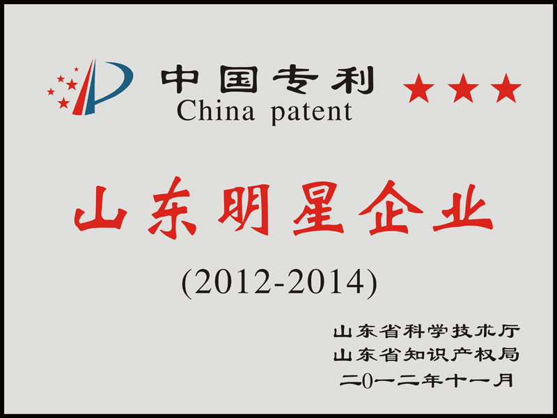 2012年   中國(guó)專(zhuān)利山東明星企業(yè)
